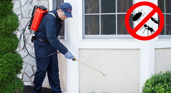 Vakfıkebir Pire İlaçlama böcek ilaçlama ve haşere kontrolü — ilaclama-tr.com
